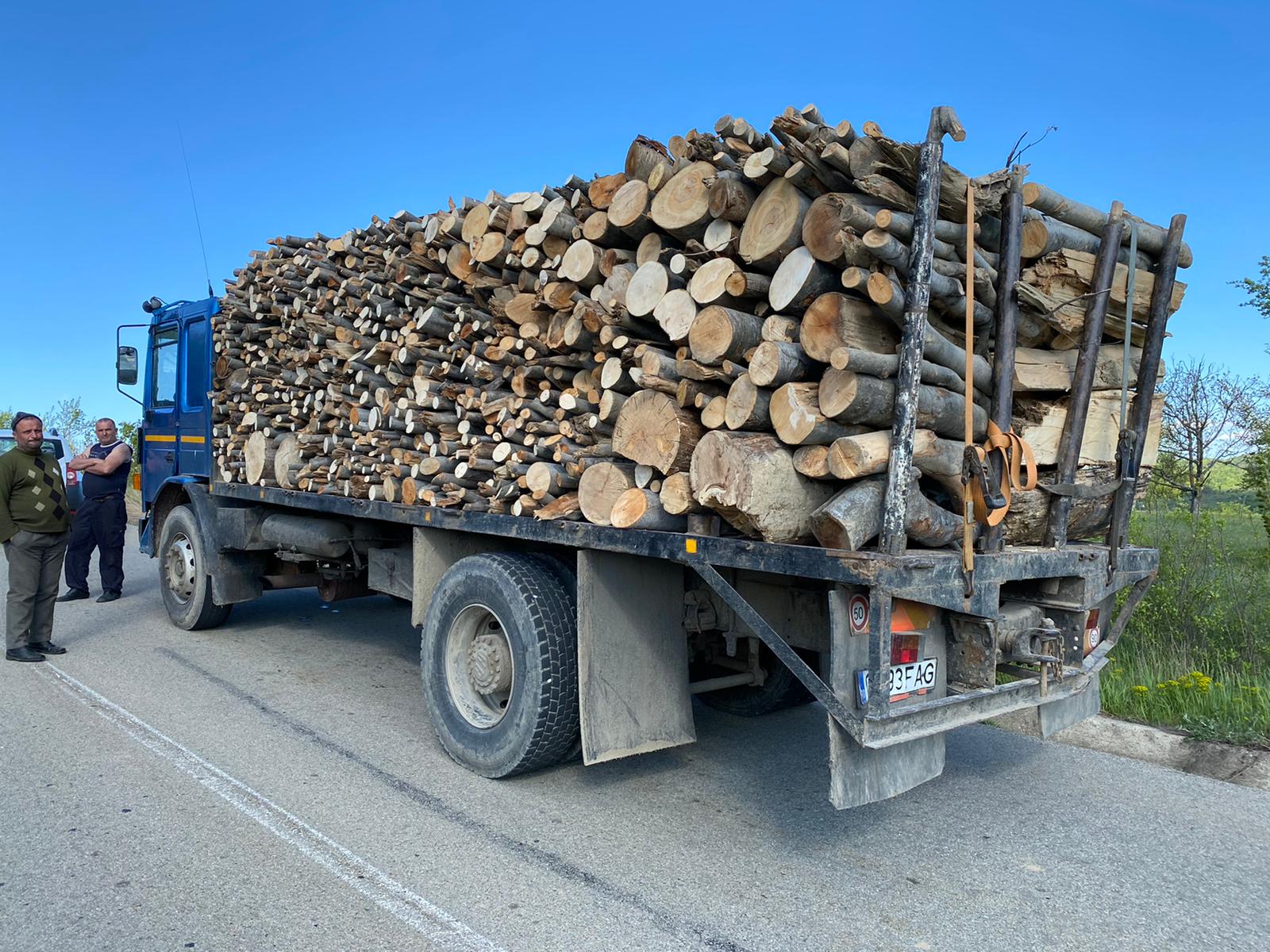 Material lemnos, fără documente de transport, confiscat de polițiști