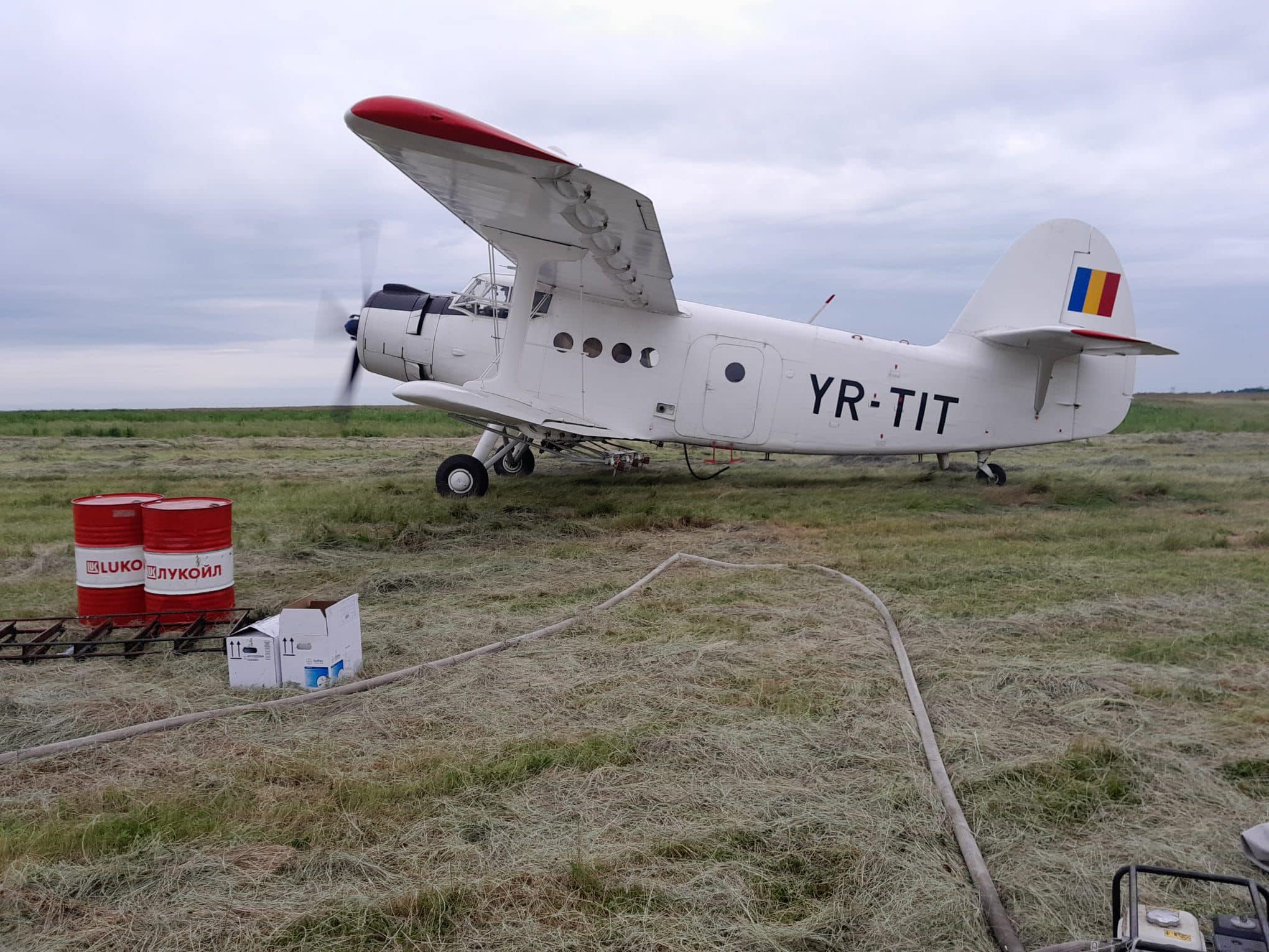 RELUĂM TRATAMENTELE PENTRU COMBATEREA INSECTELOR DĂUNĂTOARE