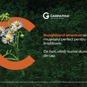 Dragă prieten al naturii,